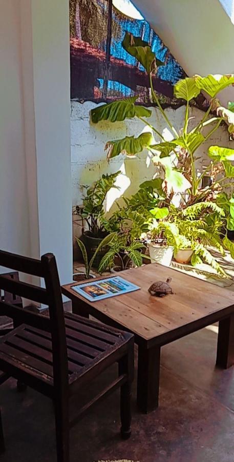 Shady Edge Otel Unawatuna Dış mekan fotoğraf